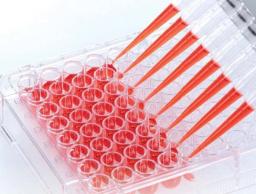 BIOFLOAT™ Spheroid Culture - SARSTEDT AG - Life Sciences