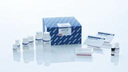 QIAamp 96 DNA QIAcube HT Kit (5) - QIAGEN