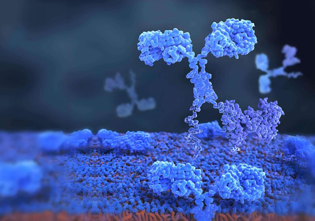 One-Stop Allogeneic Cell Therapy Development Solutions