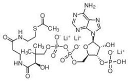 Acetyl coenzyme A lithium salt - Merck KGaA, Darmstadt, Germany - Life Sciences