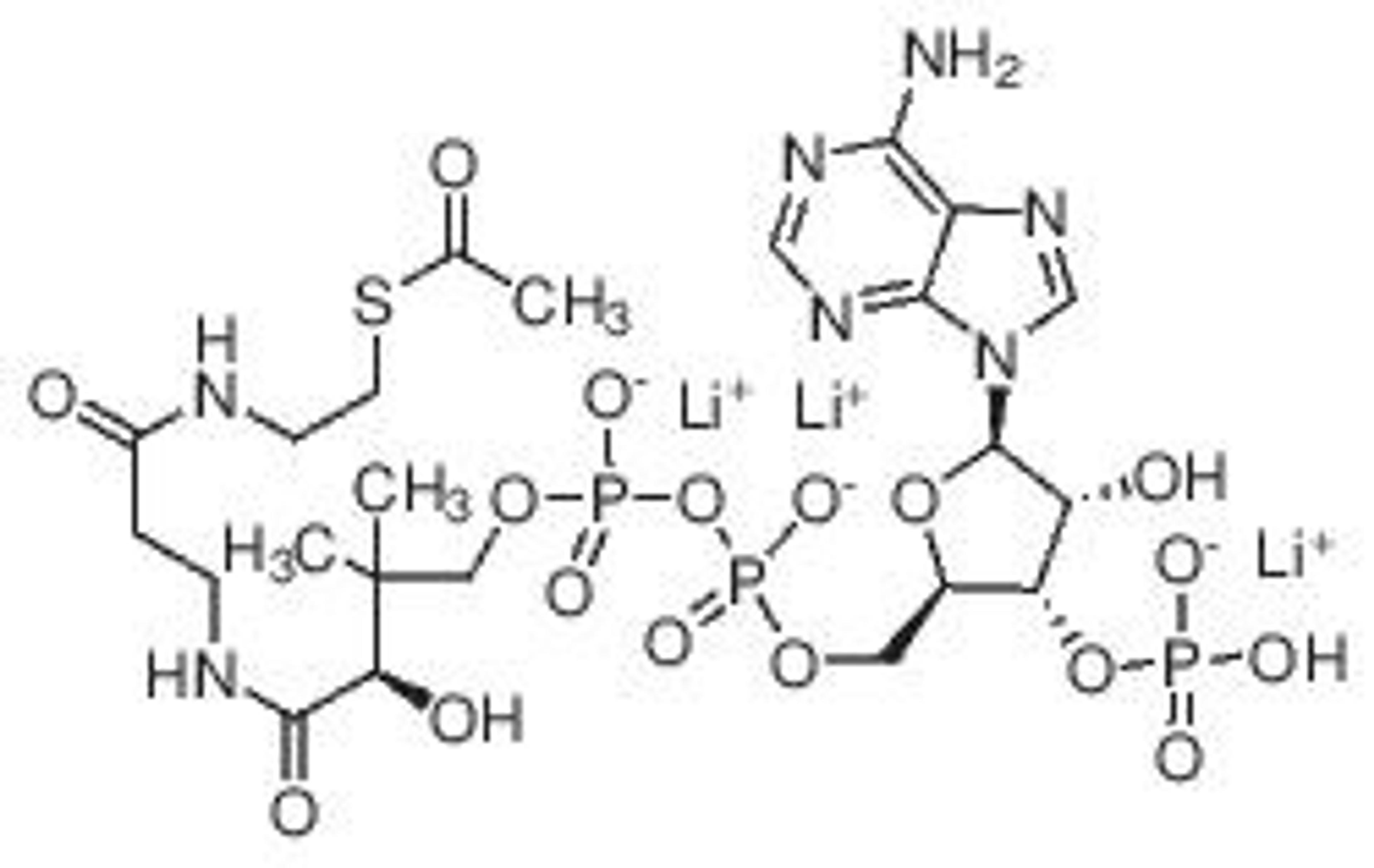 Acetyl coenzyme A lithium salt - Merck KGaA, Darmstadt, Germany - Life Sciences