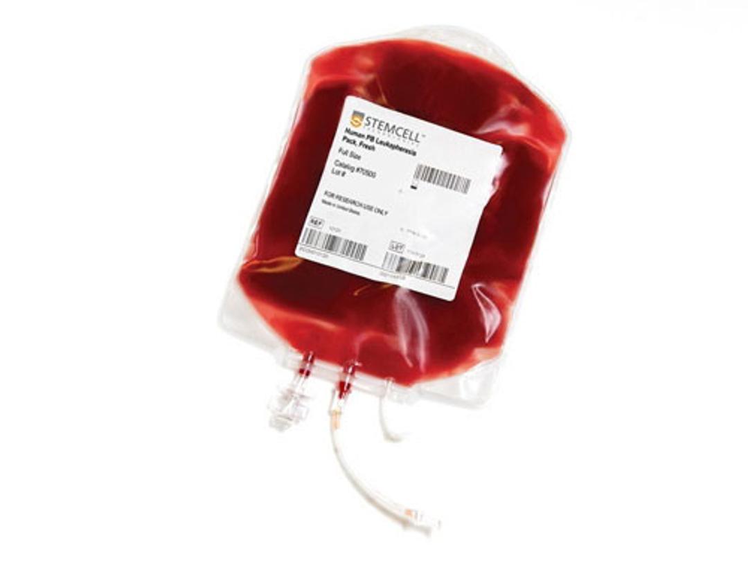 Human Peripheral Blood Leukapheresis Pack, Fresh - STEMCELL Technologies Inc. - Life Sciences