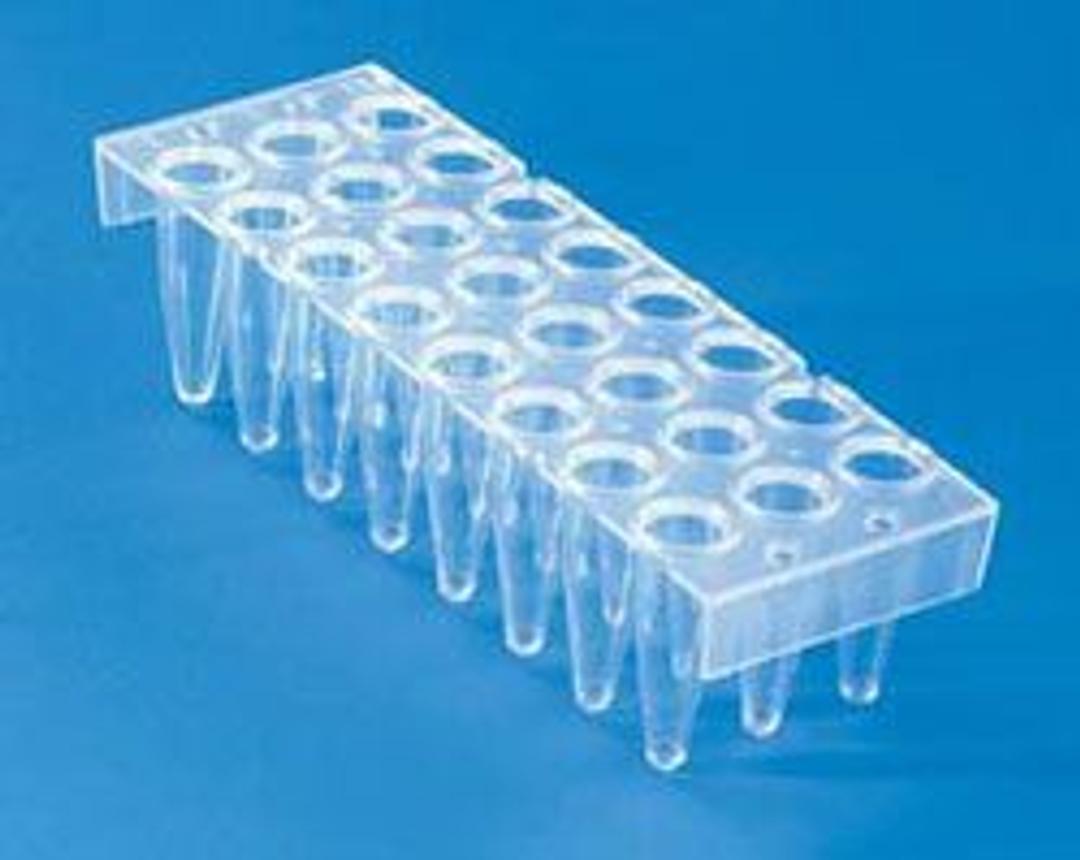 Thermo Scientific 24-Well PCR Plates - Thermo Fisher Scientific - Life Sciences