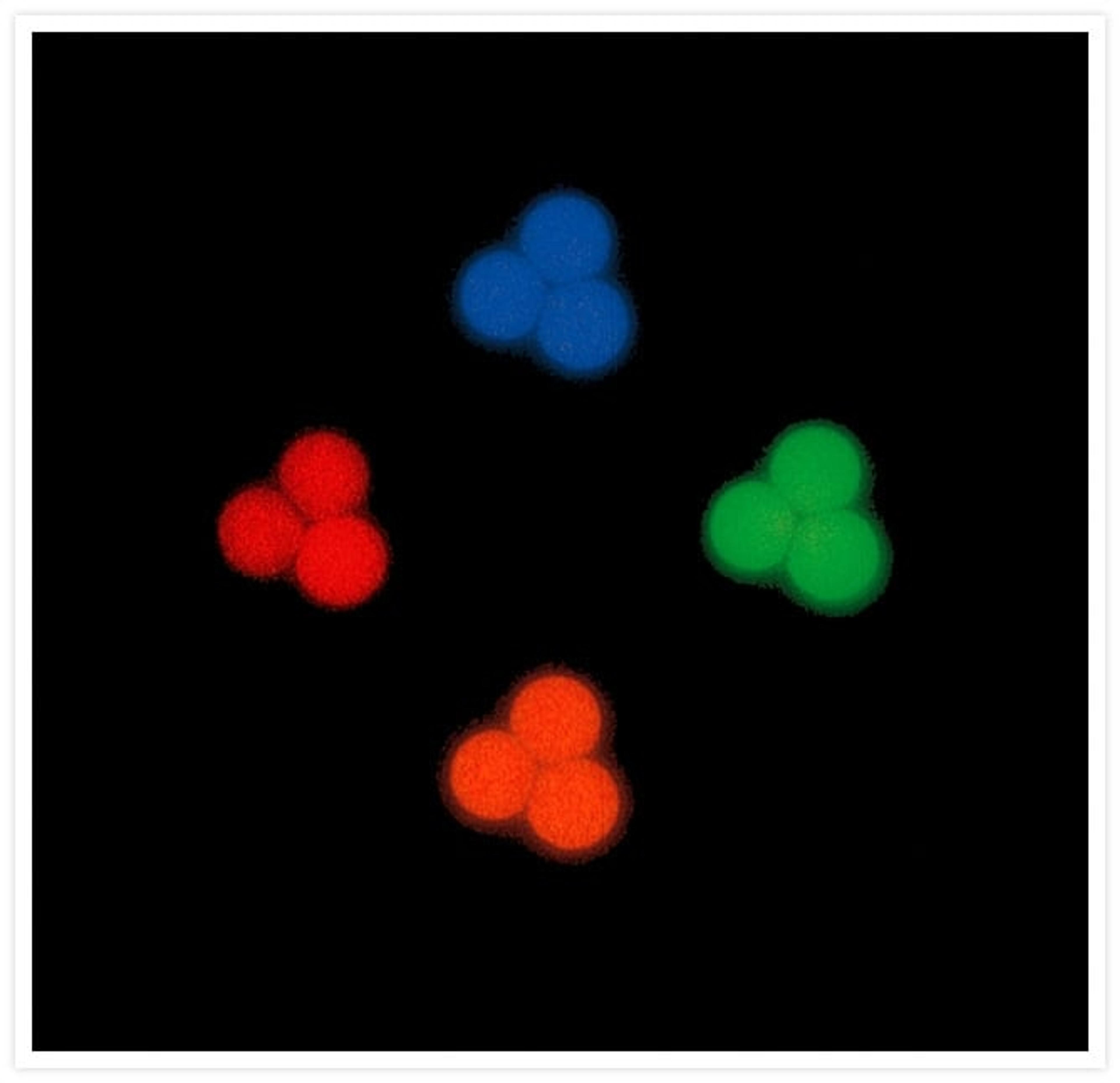 TetraSpeck™ Microspheres, 0.1 µm, fluorescent blue/green/orange/dark red - Thermo Fisher Scientific - Life Sciences