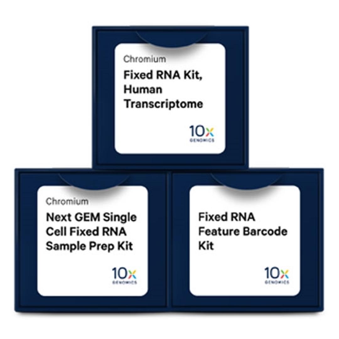 Chromium Single Cell Gene Expression Flex - 10x Genomics - Life Sciences