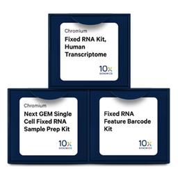 Chromium Single Cell Gene Expression Flex - 10x Genomics - Life Sciences