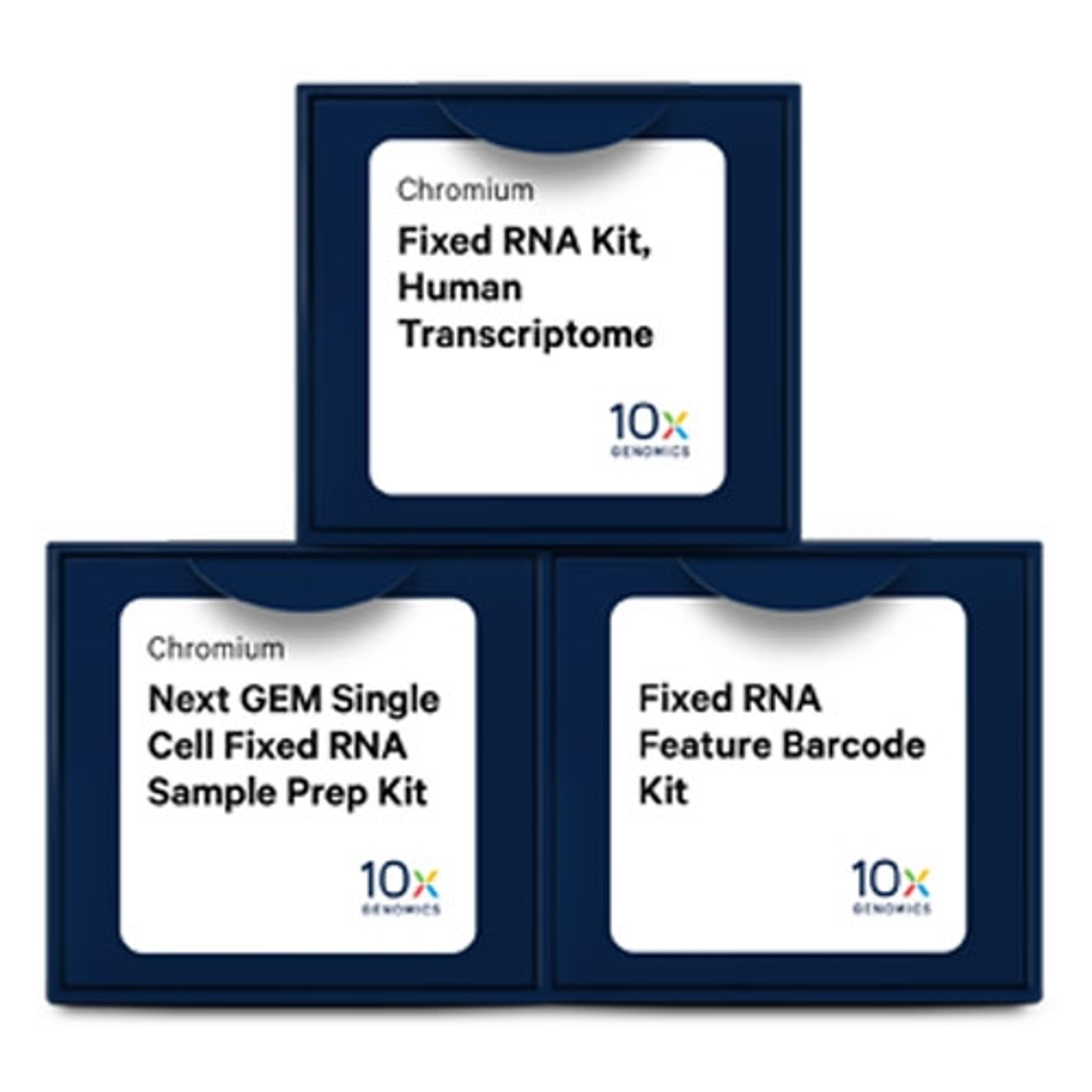 Chromium Single Cell Gene Expression Flex - 10x Genomics - Life Sciences