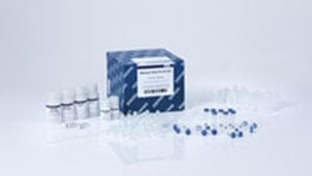 DNeasy 96 Plant Kit (6) - QIAGEN