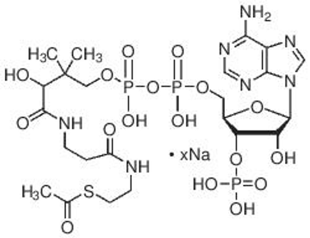 Acetyl coenzyme A sodium salt - Merck KGaA, Darmstadt, Germany - Life Sciences
