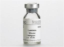 Corning® Laminin, Mouse, 1 mg - Corning Life Sciences - Life Sciences