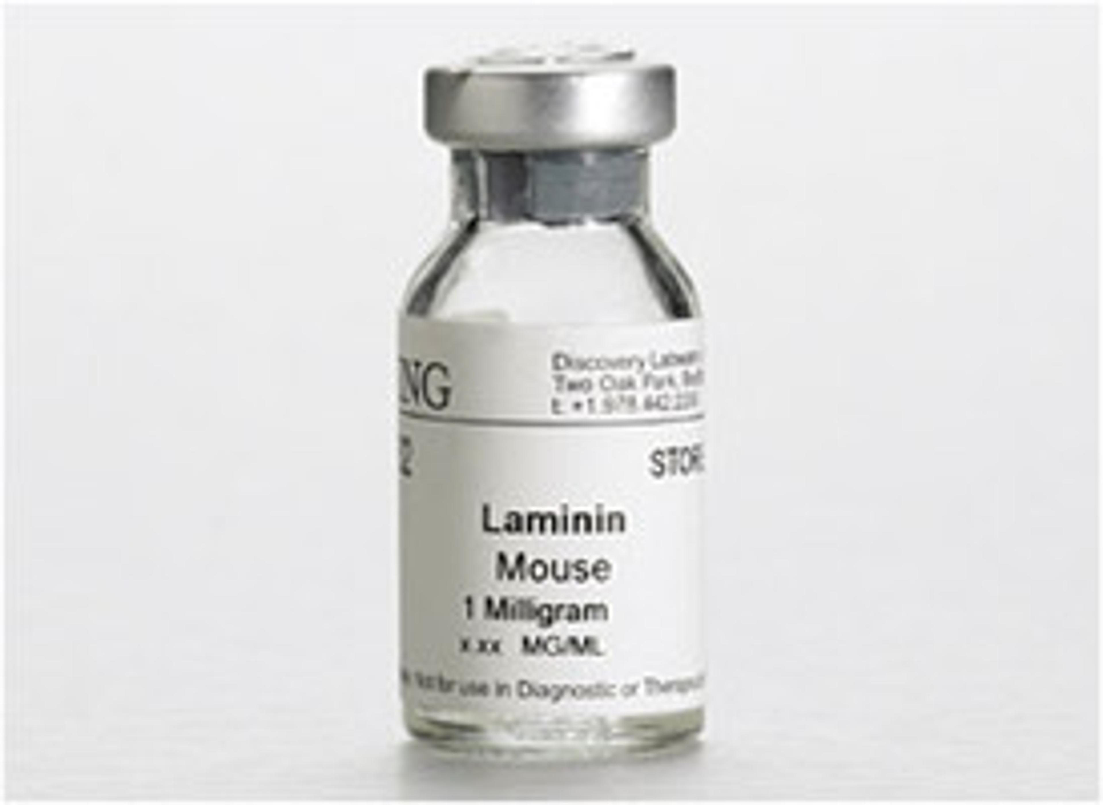 Corning® Laminin, Mouse, 1 mg - Corning Life Sciences - Life Sciences