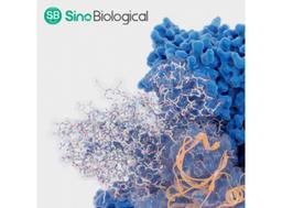 Customized Enzyme Development & Compound Profiling Services - Sino Biological - Life Sciences
