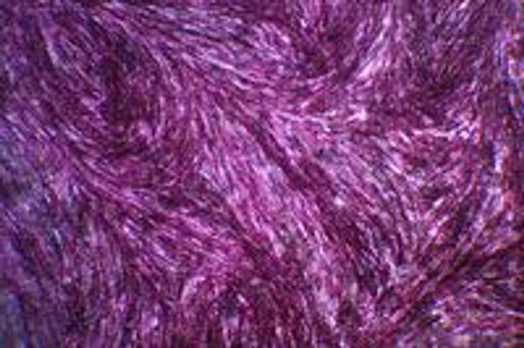 OsteoMAX-XF™ Differentiation Medium - Merck - Life Sciences