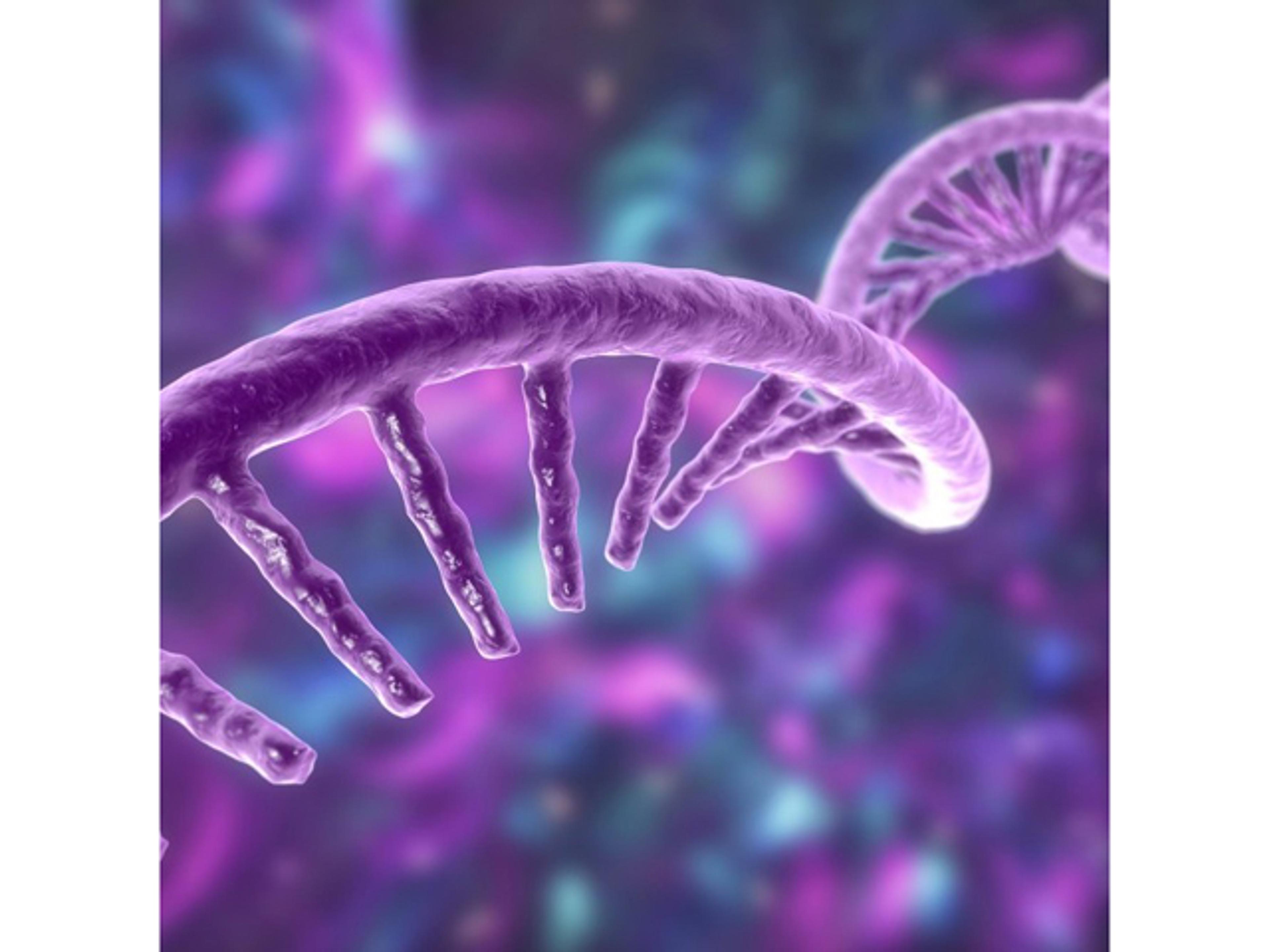 Preclinical Biomarker Services - Crown Bioscience - Drug discovery > Pre-Clinical Development