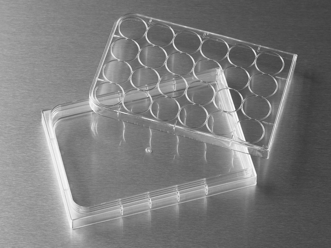 HTS Transwell®-24 Clear Not Treated Reservoir, Sterile - Corning Life Sciences - Life Sciences