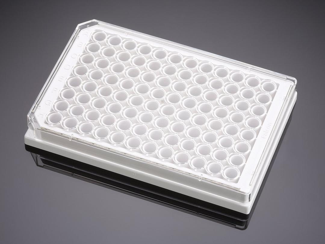 Falcon® 96-well White/Clear Flat Bottom TC-treated Microplate, with Lid, Sterile, 8/Pack, 32/Case - Corning Life Sciences - Life Sciences