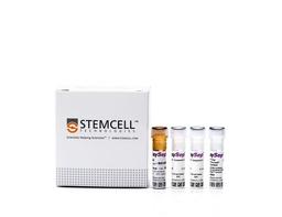 EasySep™ Mouse CD90.2 Positive Selection Kit II - STEMCELL Technologies Inc. - Life Sciences