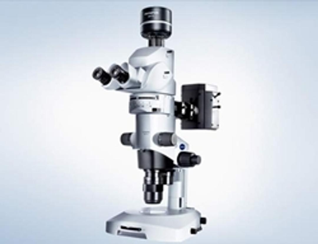 MVX10 Fluorescence Macro Zoom Microscope - EVIDENT - Spectroscopy