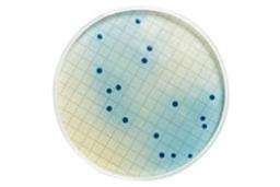 m-FC Agar - Merck - Life Sciences