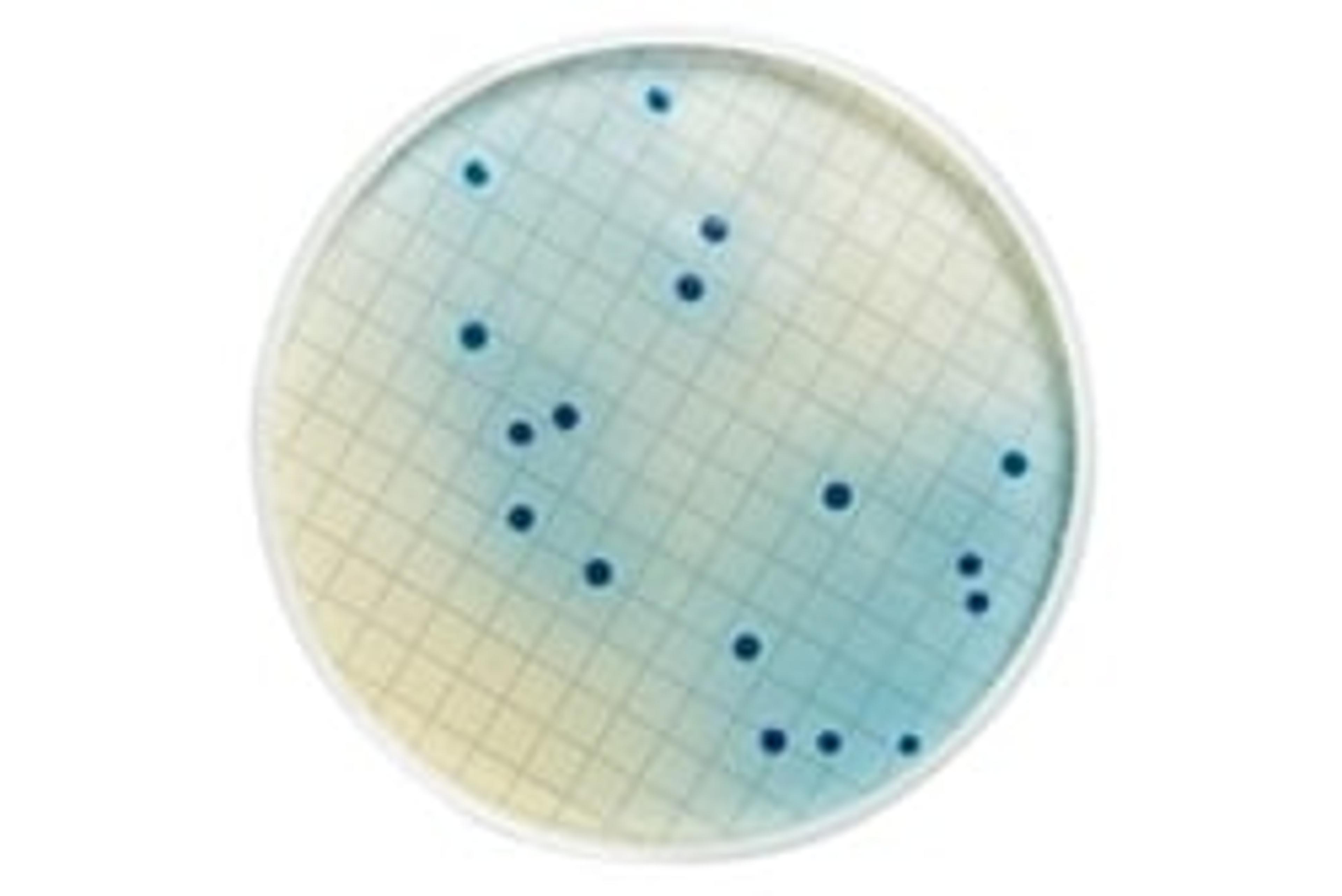m-FC Agar - Merck - Life Sciences