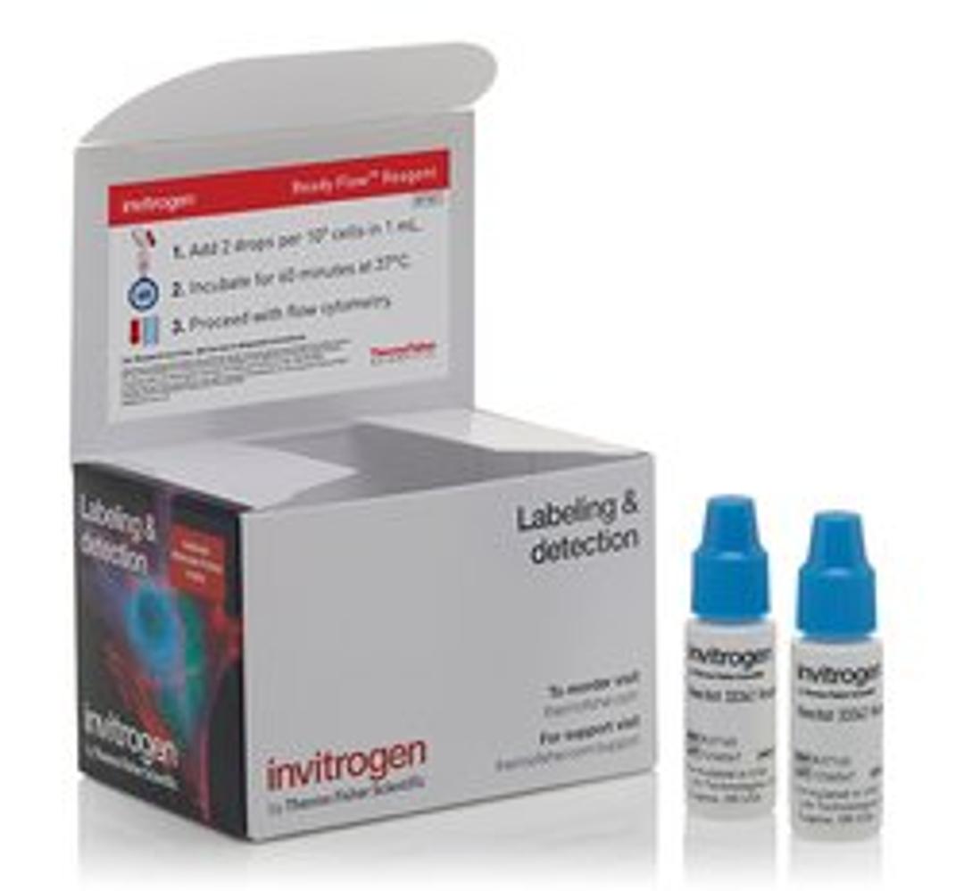 Invitrogen™ Hoechst 33342 Ready Flow™ Reagent - Thermo Fisher Scientific - Life Sciences