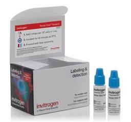 Invitrogen™ Hoechst 33342 Ready Flow™ Reagent - Thermo Fisher Scientific - Life Sciences