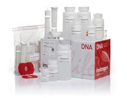 PureLink™ HiPure Plasmid Filter Maxiprep Kit - Thermo Fisher Scientific - Life Sciences