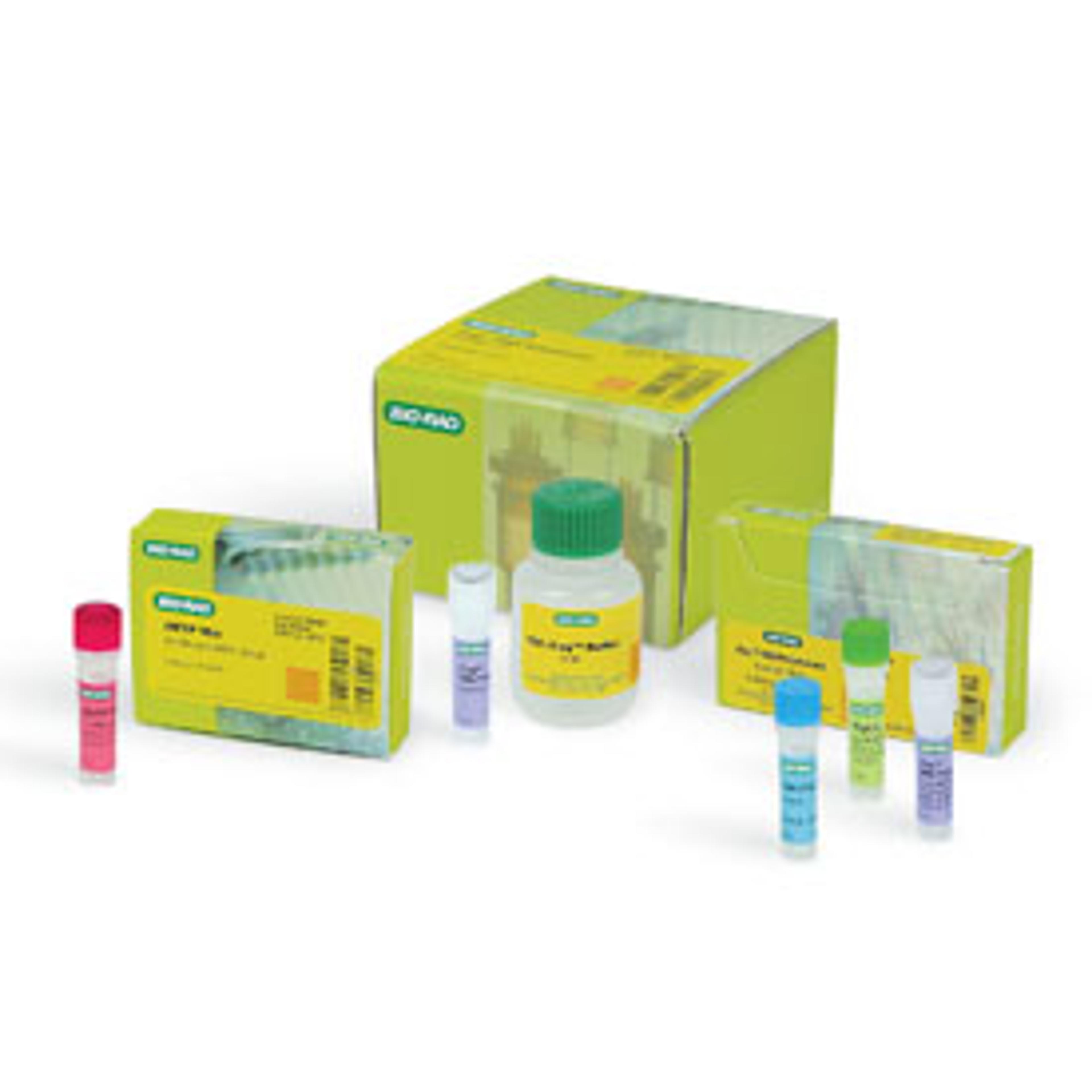 iTaq™ DNA Polymerase, 250 U (5 U/µl), 50 µl - Bio-Rad - Life Sciences