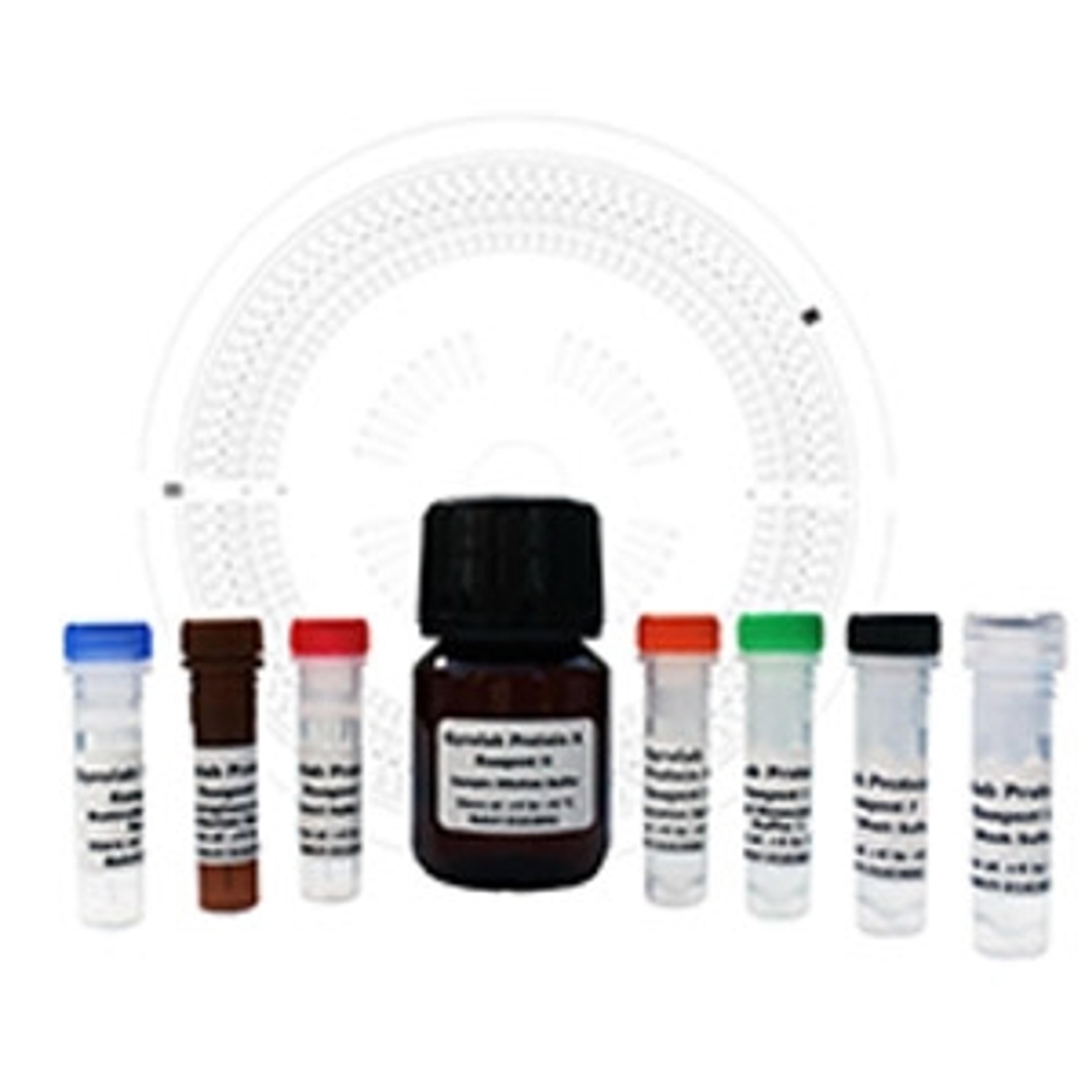 Gyrolab® Protein A Kit for MabSelect SuRe Ligand - Gyros Protein Technologies - Life Sciences