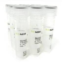 Custom RNA Oligonucleotides - Bioneer - Life Sciences