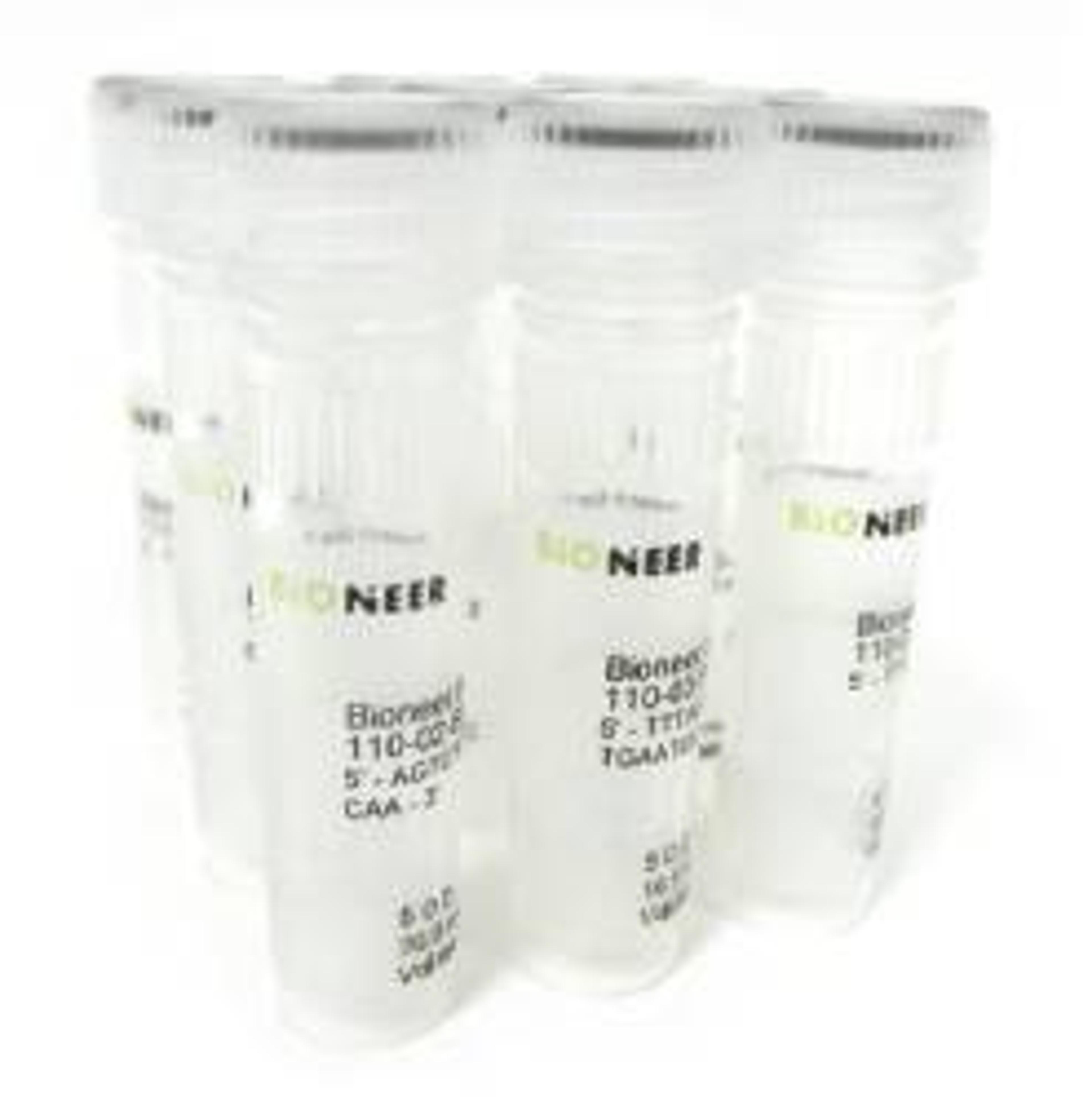 Custom RNA Oligonucleotides - Bioneer - Life Sciences