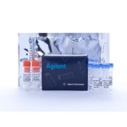 AAV-HT1080 Cells - Agilent Technologies - Life Sciences