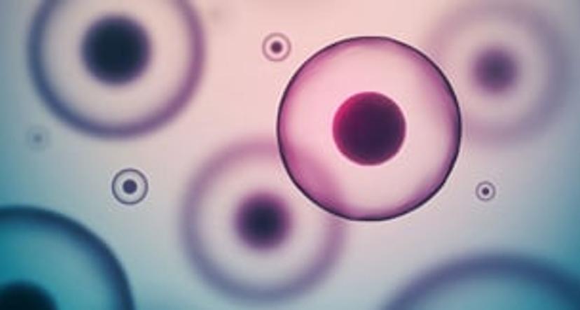 Maintain cell health for longer