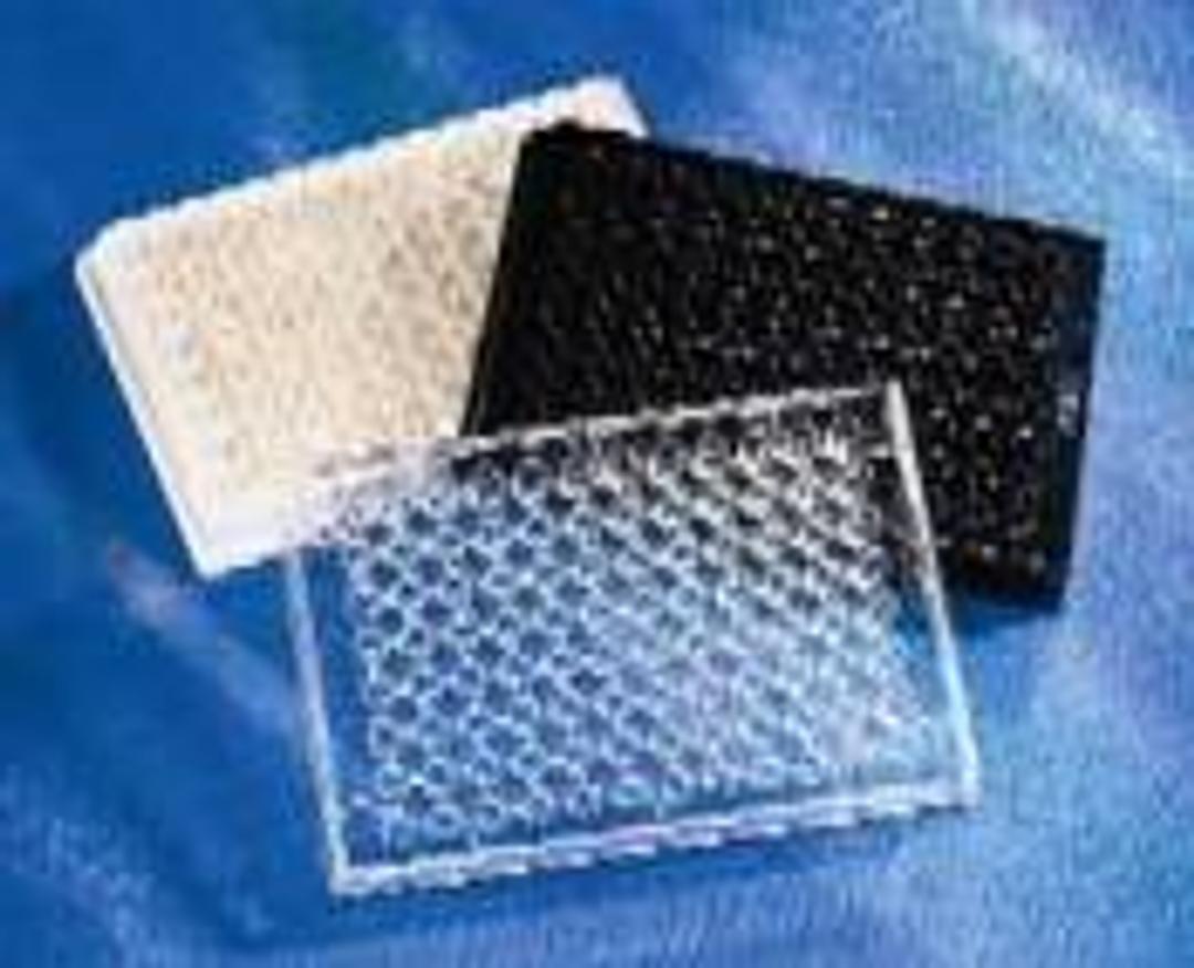 Corning® 96-well Half Area Clear Flat Bottom Polystyrene High Bind Microplate, 25 per Bag, without Lid, Nonsterile - Corning Life Sciences - Life Sciences