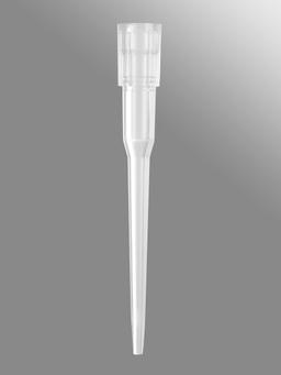 Axygen® 96-well tips, 250µL, Clear, Non-filtered, Non-sterile, Wide Bore, SLAS Rack - Corning Life Sciences - General Lab