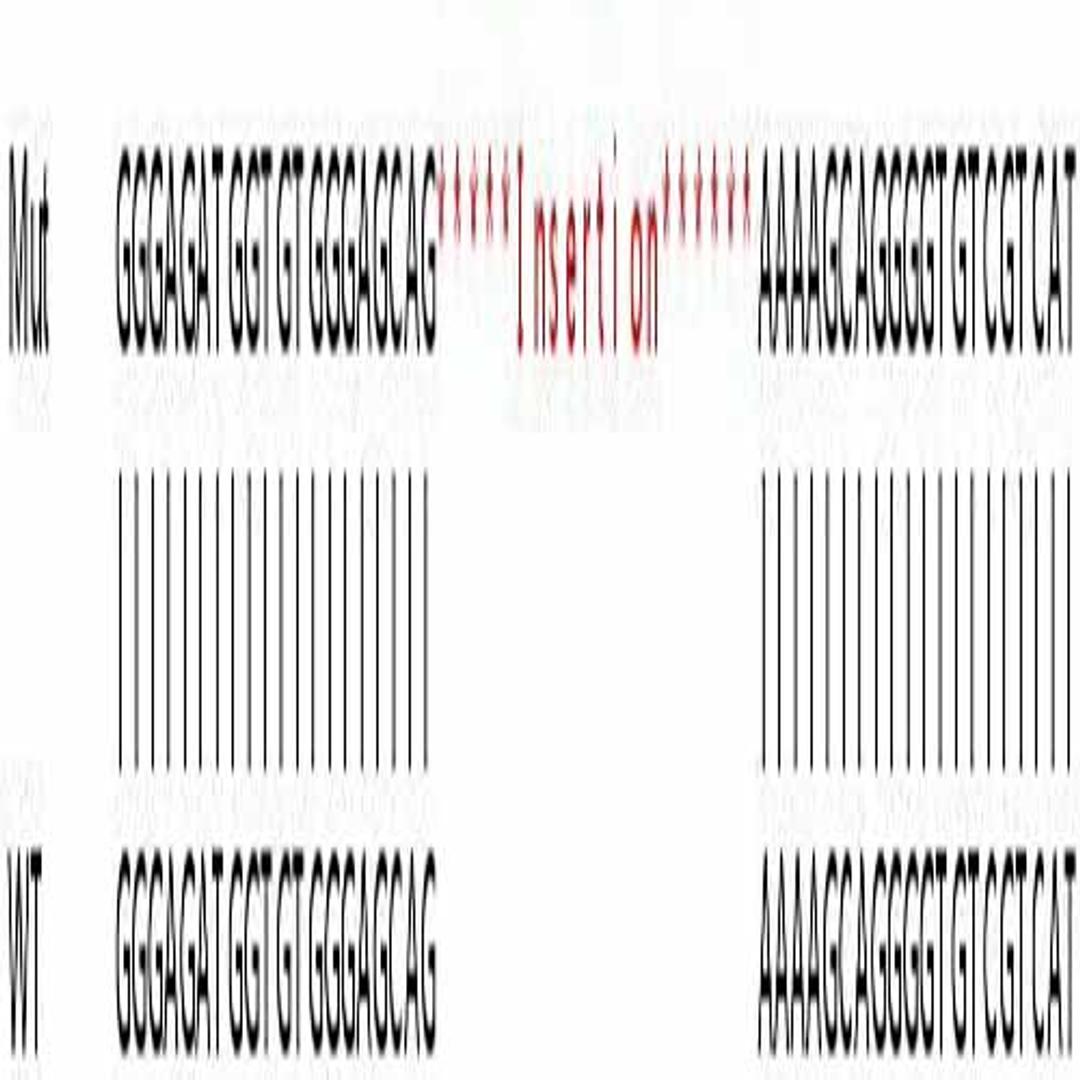 Human PTPN1 (PTP1B) knockout HeLa cell line - Abcam plc - Life Sciences
