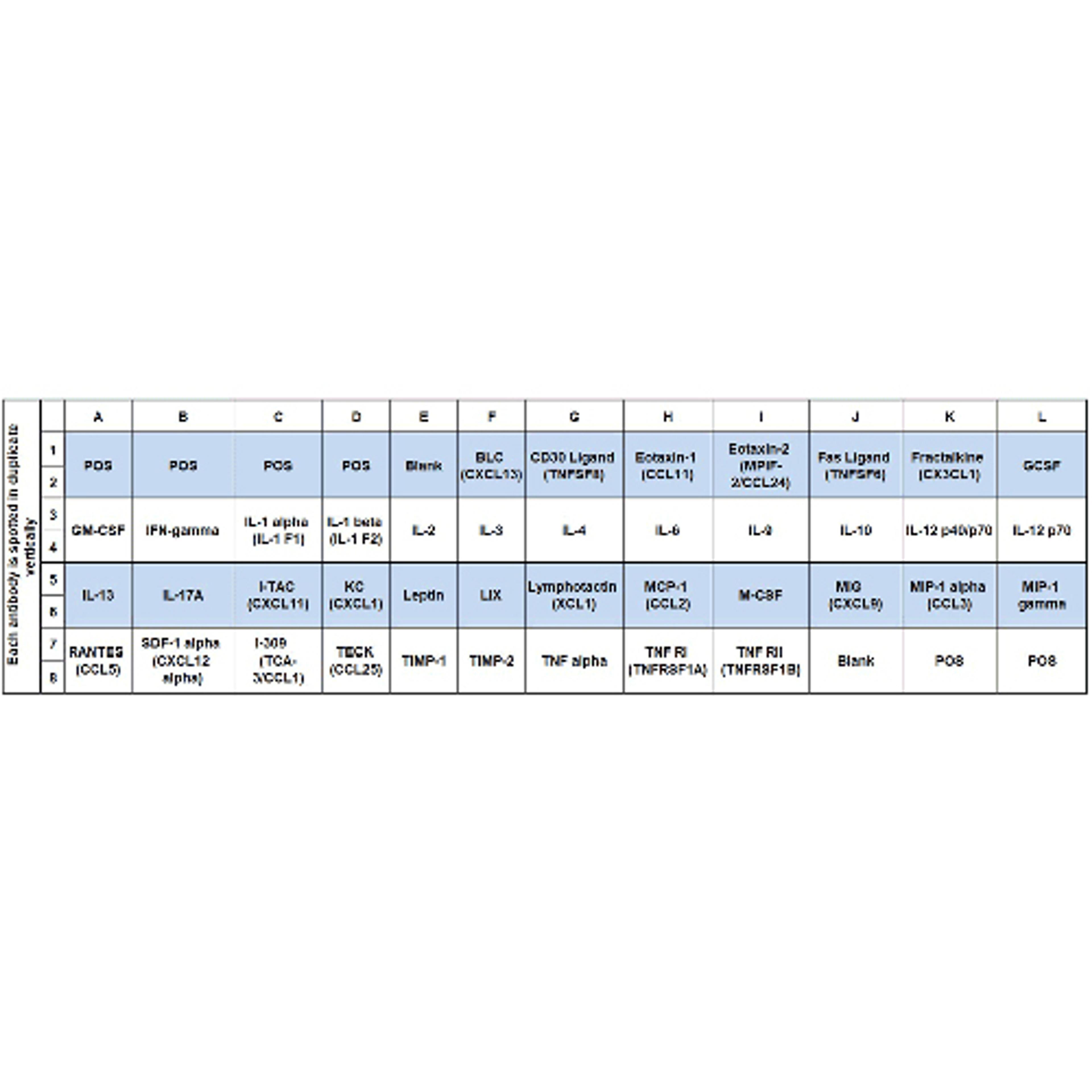 Mouse Inflammation Array C1 - RayBiotech Inc. - Life Sciences