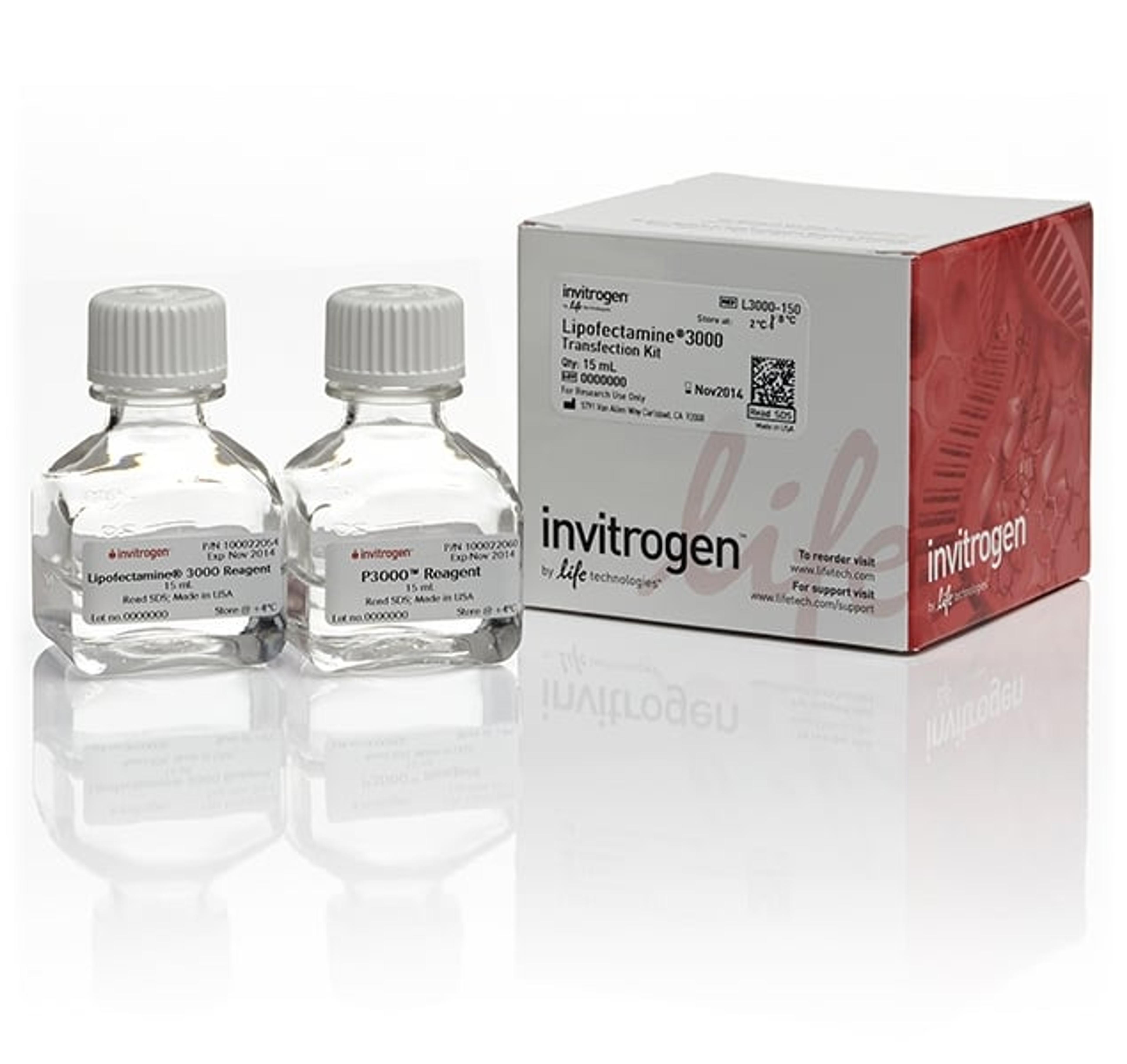 Invitrogen™ Lipofectamine® 3000 Transfection Reagent (15 mL) - Thermo Fisher Scientific - Life Sciences