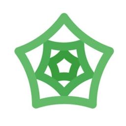 Layer V Glutamatergic Neurons - BrainXell - Life Sciences