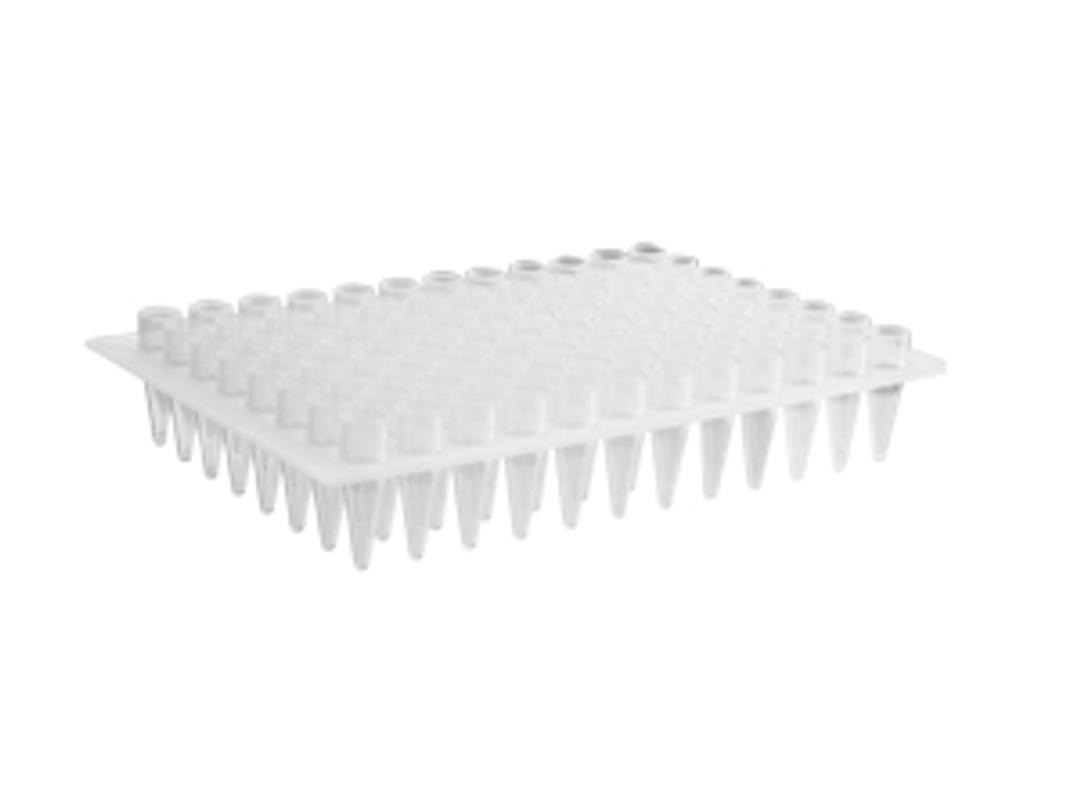Axygen® 96-well Polypropylene PCR Microplate, No Skirt, Elevated Wells, Compatible with MegaBACE Sequencer, Clear, Nonsterile - Corning Life Sciences - Life Sciences