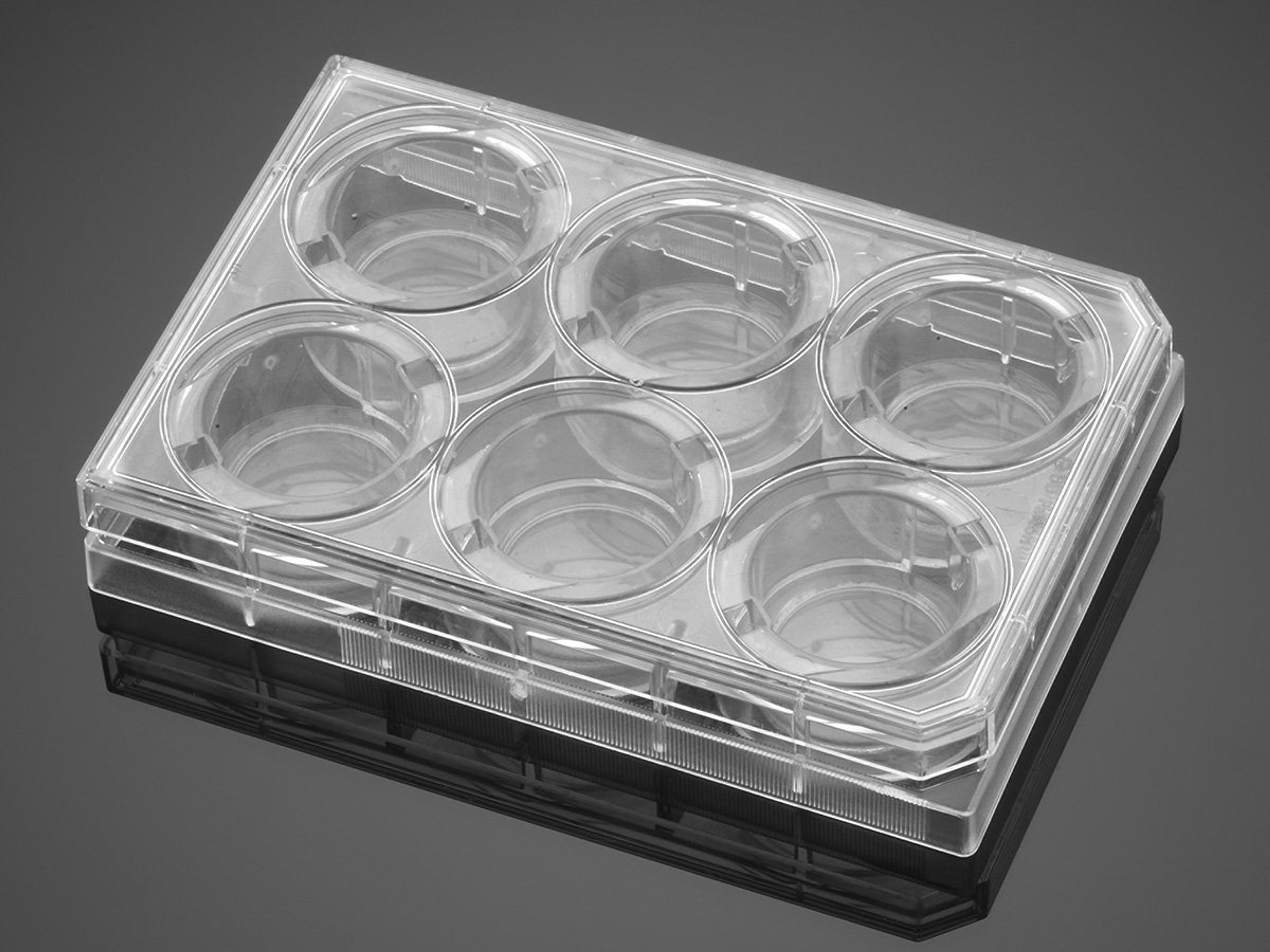 Corning® BioCoat™ Fibronectin 6 Well Clear Flat Bottom TC-Treated Multiwell Plate, with Lid, 5/Case - Corning Life Sciences - Life Sciences