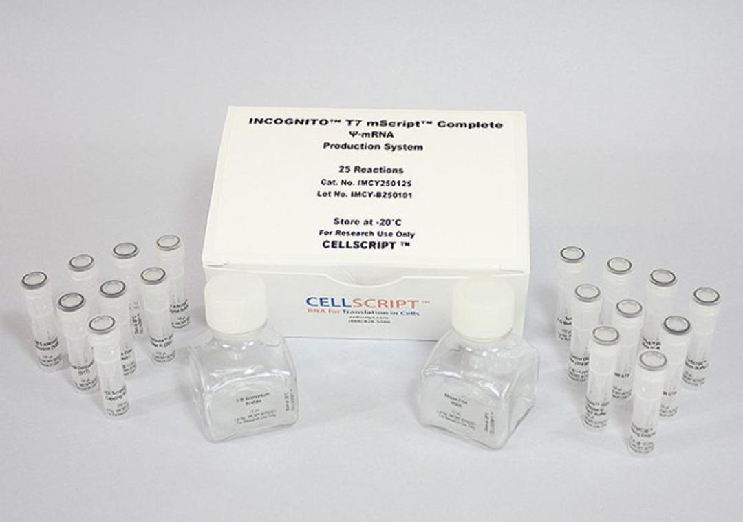 INCOGNITO™ T7 mScript™ Complete Ѱ-mRNA Production System - CELLSCRIPT™ - Life Sciences