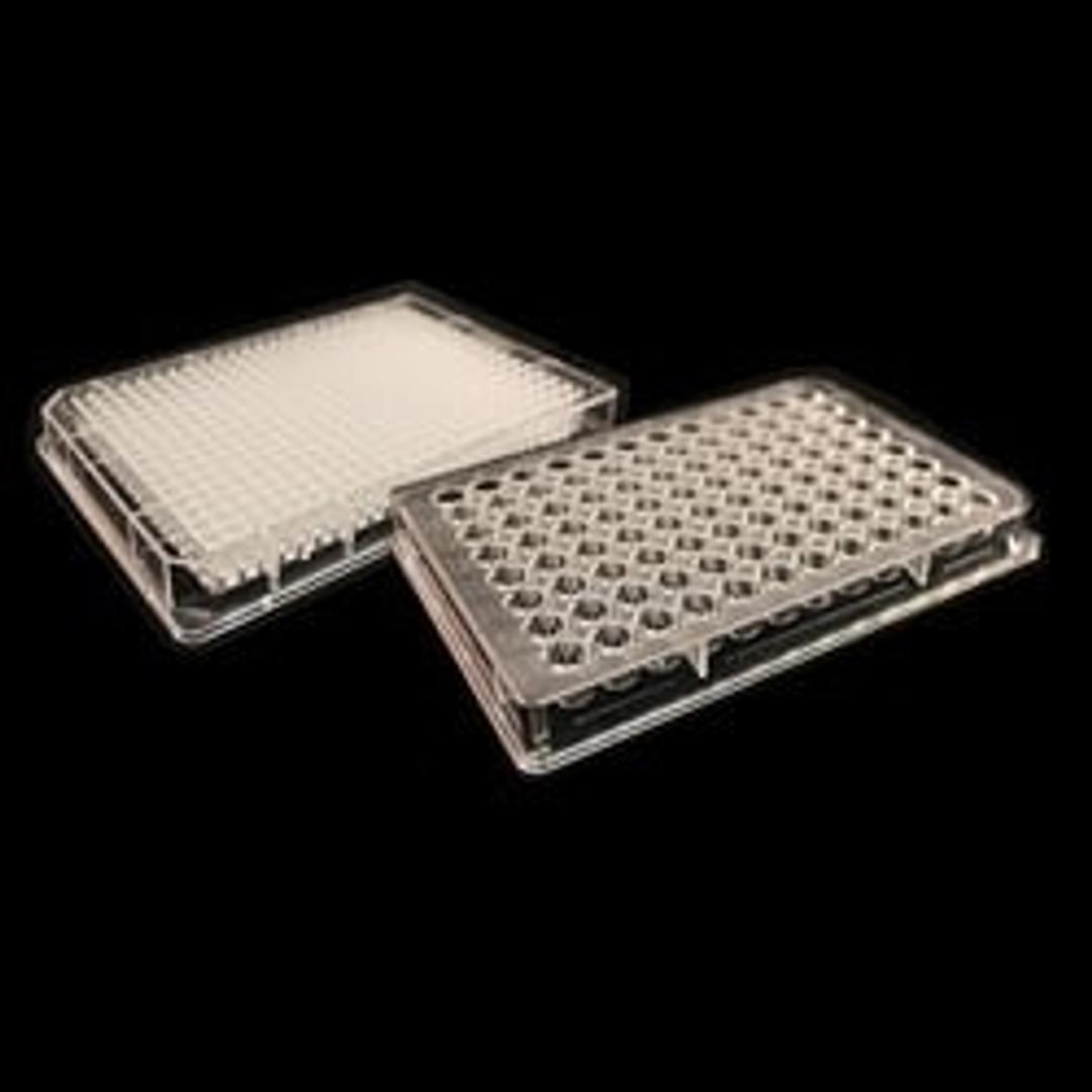 Nexcelom3D 96-well Ultra-low attachment treated round bottom multi-well plates - null - Life Sciences