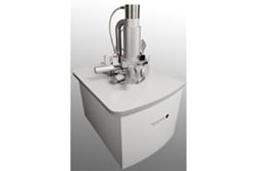 VEGA3 SB SEM - Tescan - Life Sciences