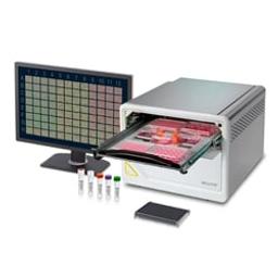 Incucyte® SX5 Live-Cell Analysis System - Sartorius Group - Life Sciences