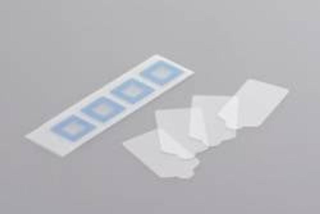 Gene Frames - Thermo Fisher Scientific - Life Sciences