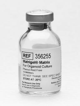 Corning® Matrigel® Matrix for Organoid Culture, Phenol Red-free, LDEV-free, 10 mL - Corning Life Sciences