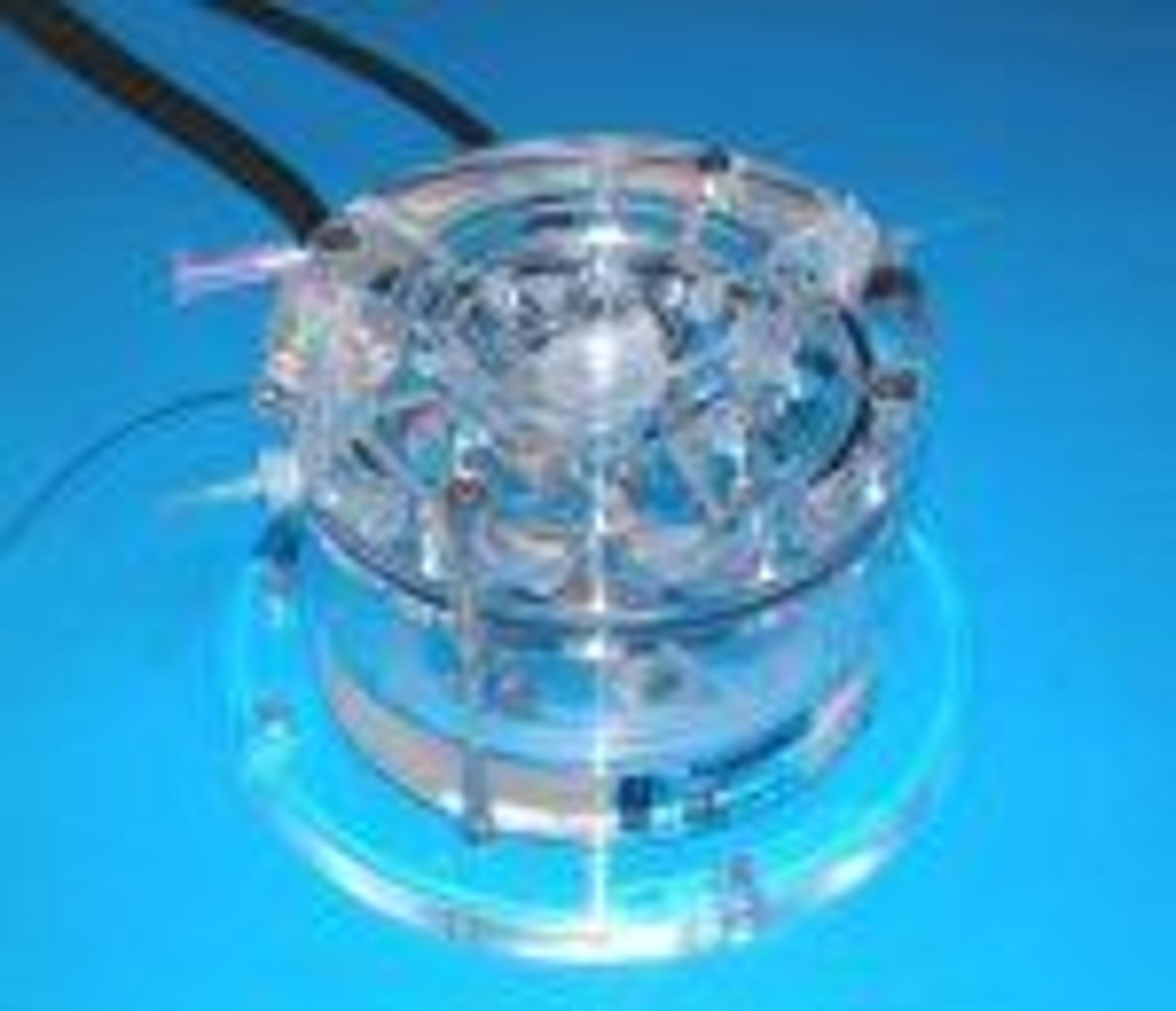 Brain Slice Chamber Model BSC - KF Technology Srl - Life Sciences