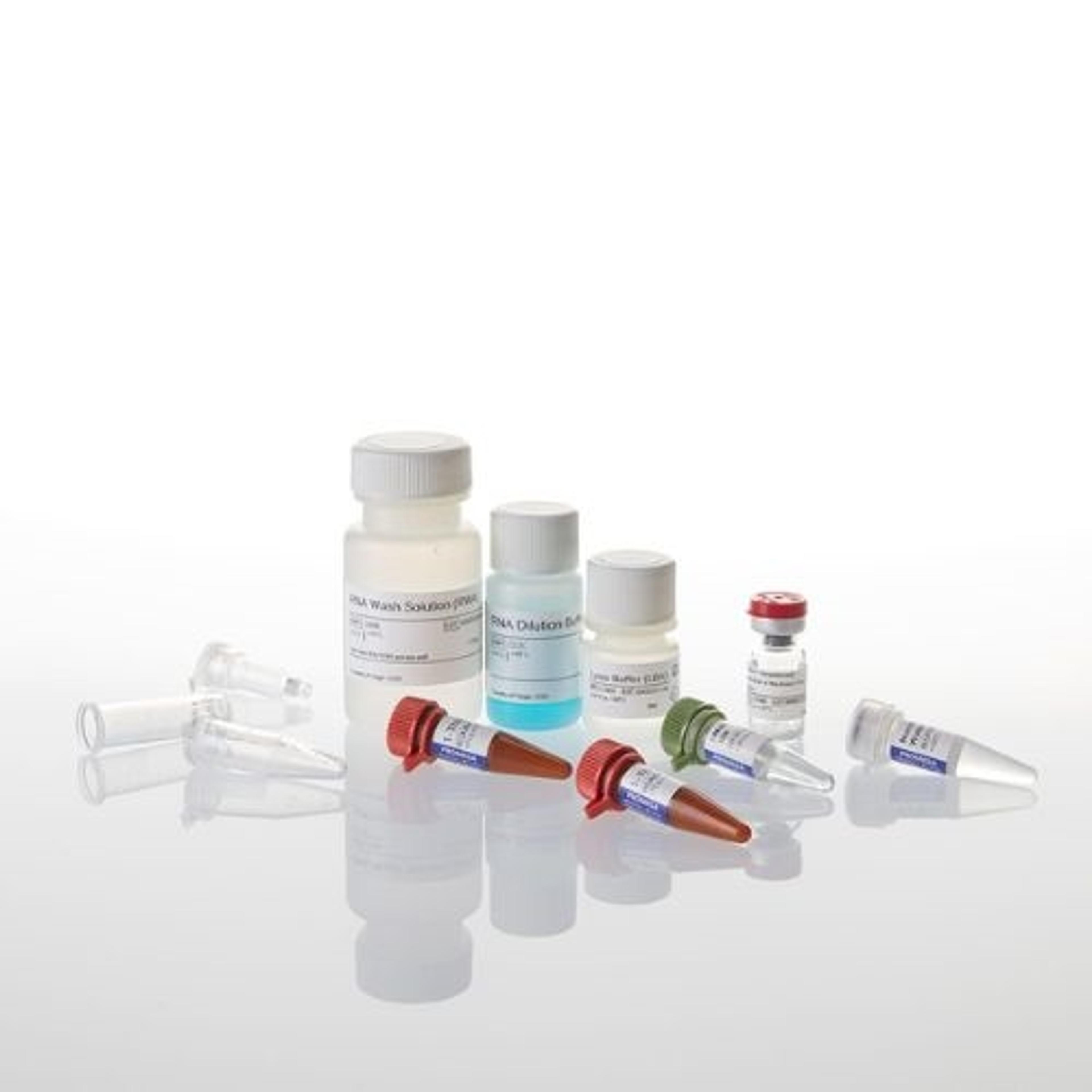 ReliaPrep™ miRNA Cell and Tissue Miniprep System - Promega Corp. - Life Sciences