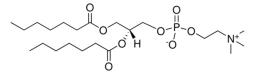 Avanti® Polar Lipids 07:0 PC (DHPC) - Merck KGaA, Darmstadt, Germany - Drug discovery > Drug Manufacturing
